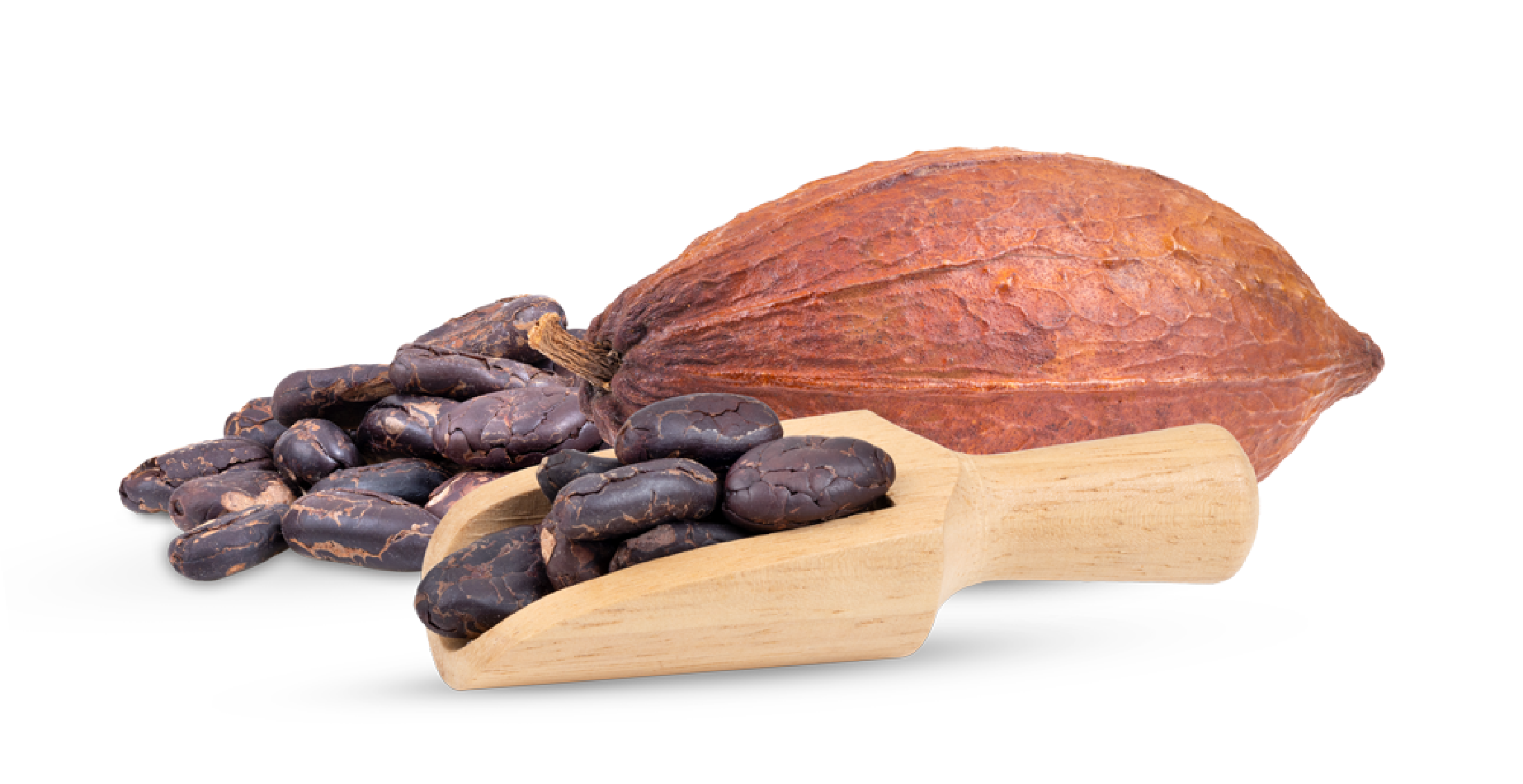 Cabosse et fèves de cacao